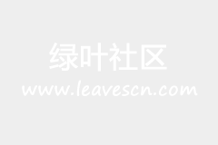2025年适合外贸独立站的海外主机推荐：高速稳定、安全可靠的建站首选